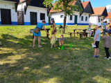 37577.jpg